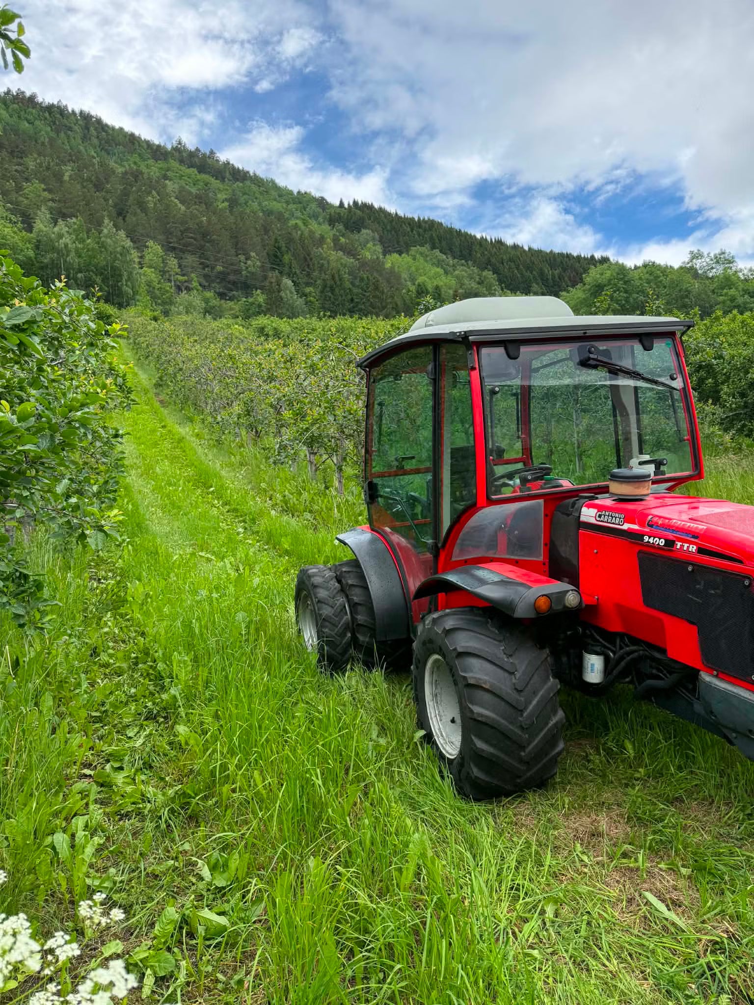 Tracteur Antonio Carraro 9400