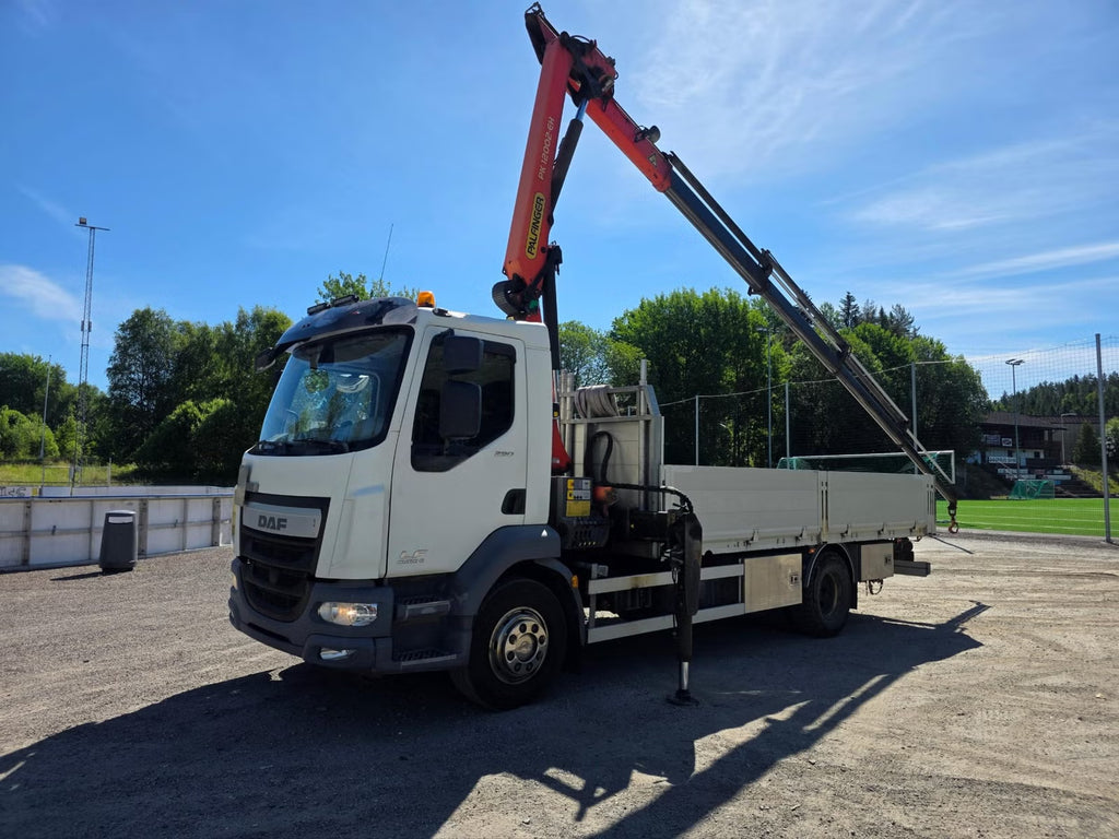 Camion DAF LF 290 FA 2017 - Camion-grue Palfinger PK 12002-EH